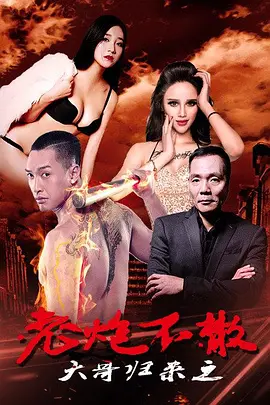 《大哥归来之老炮不散》——动作巨制，司马宁波导演